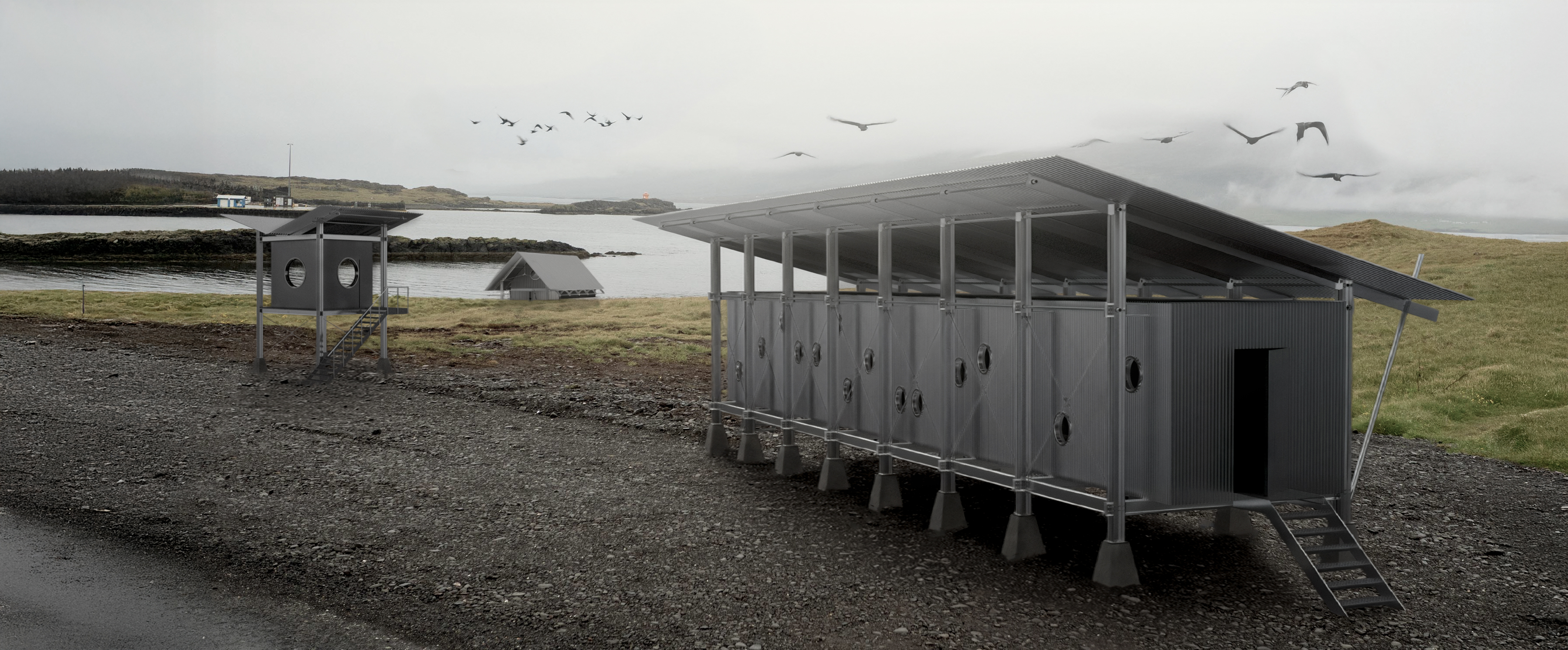 Will you see me fly?